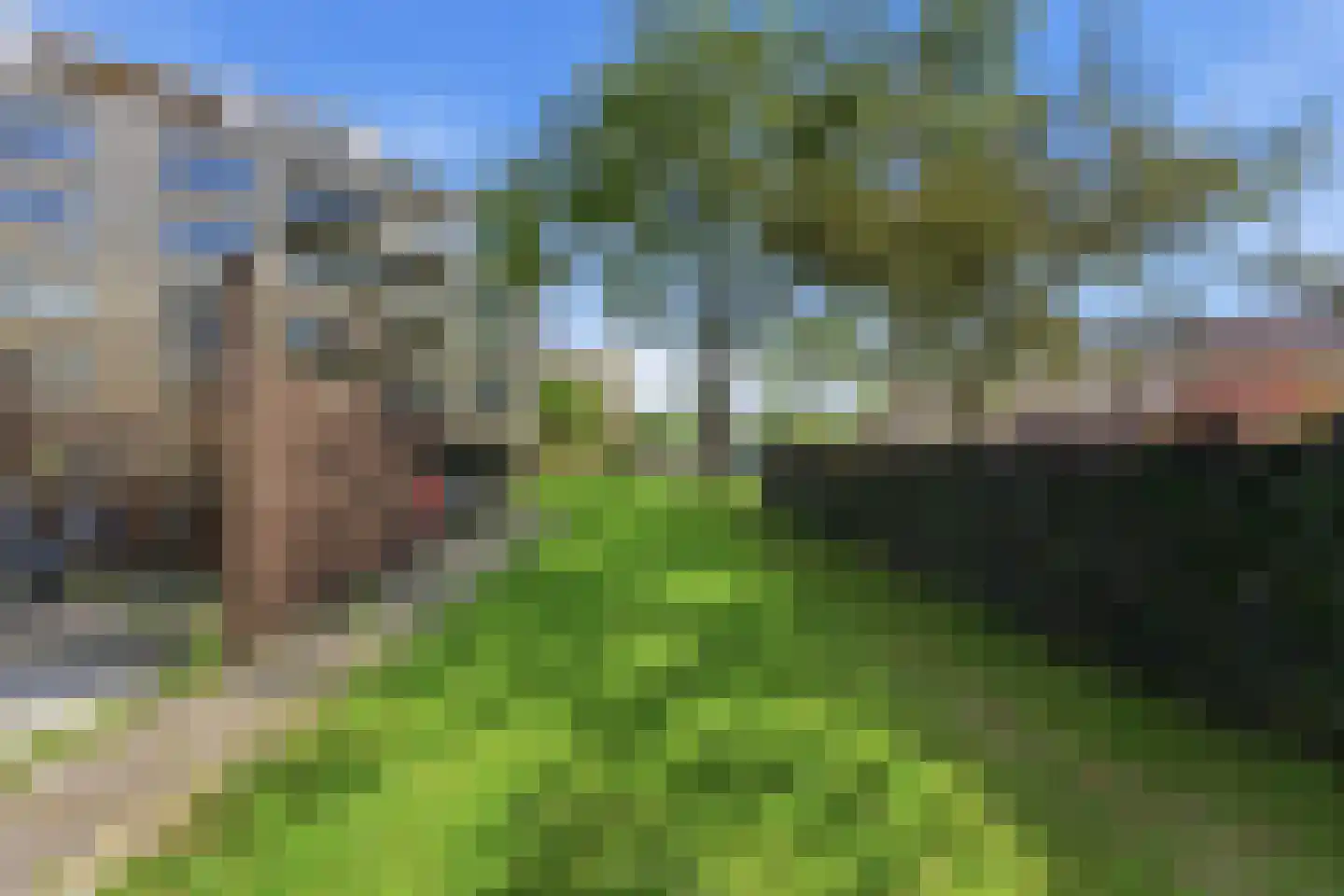 Boksdoornstraat 66 Ridderkerk thumbnail 38