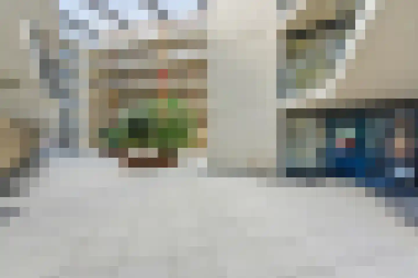 Boksdoornstraat 66 Ridderkerk thumbnail 39