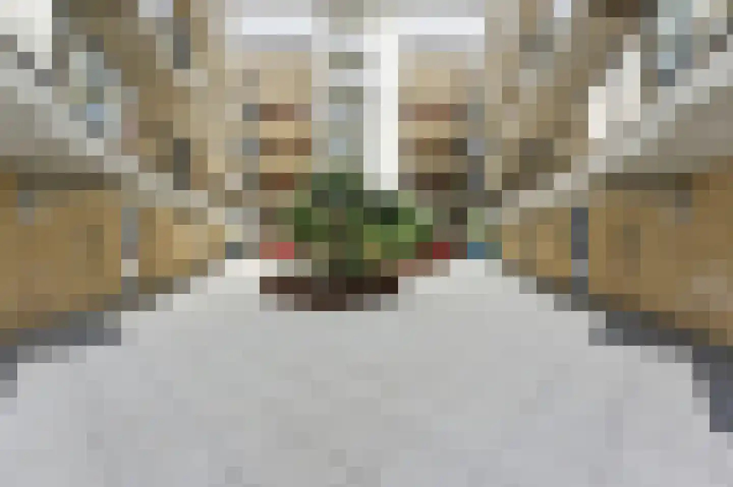 Boksdoornstraat 66 Ridderkerk thumbnail 42