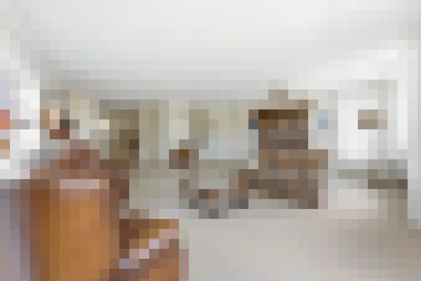 Boksdoornstraat 66 Ridderkerk thumbnail 7
