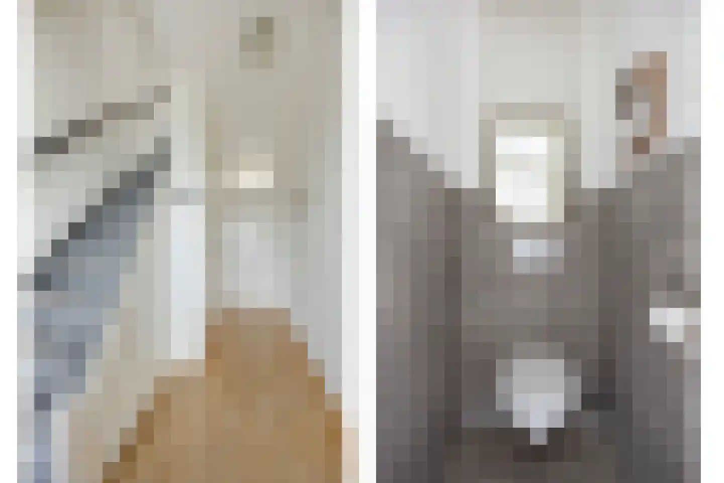 Boksdoornweg 2 Schoorl thumbnail 10