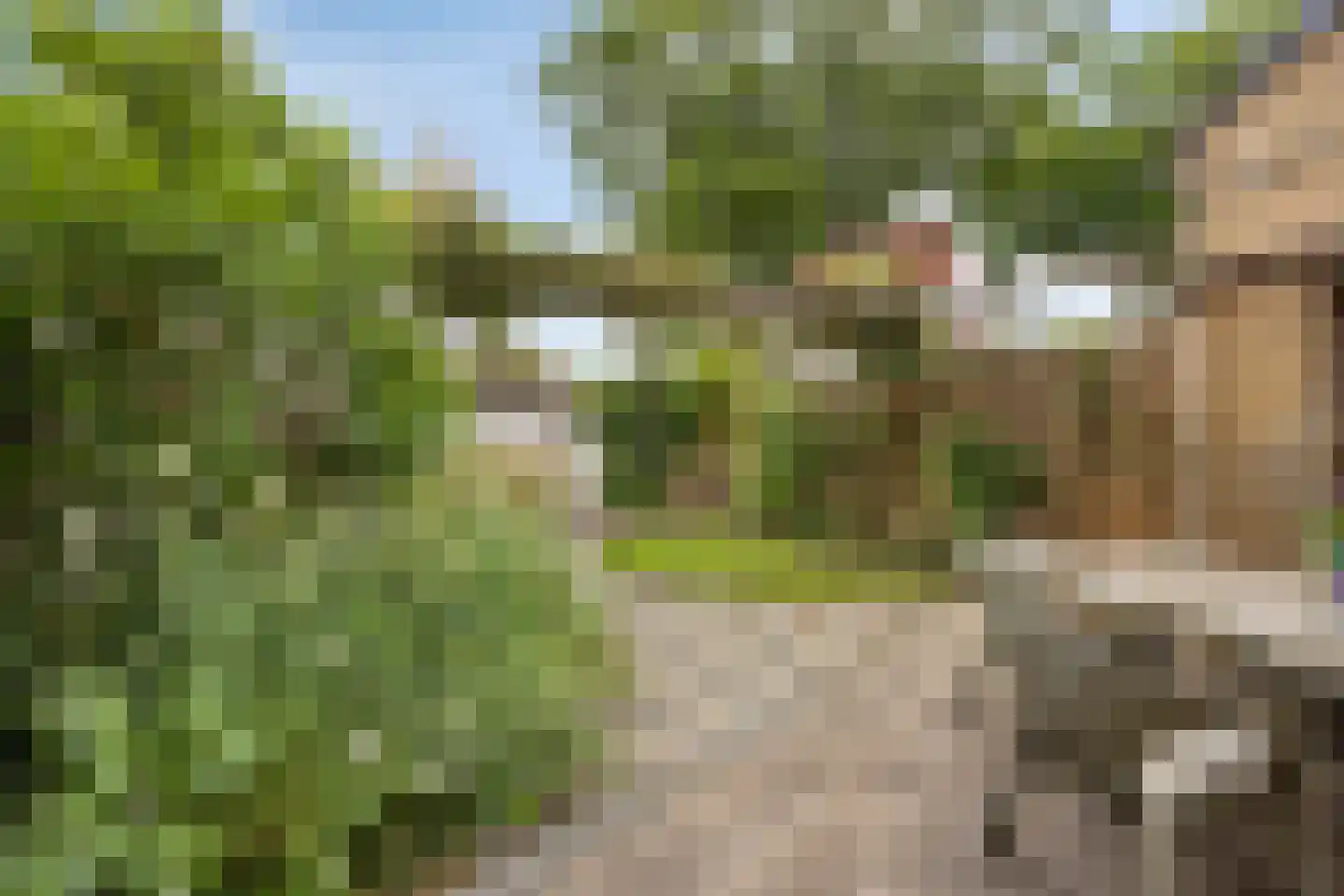Boksdoornweg 2 Schoorl thumbnail 21