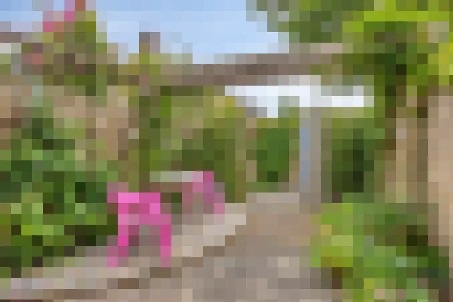 Boksdoornweg 2 Schoorl thumbnail 27