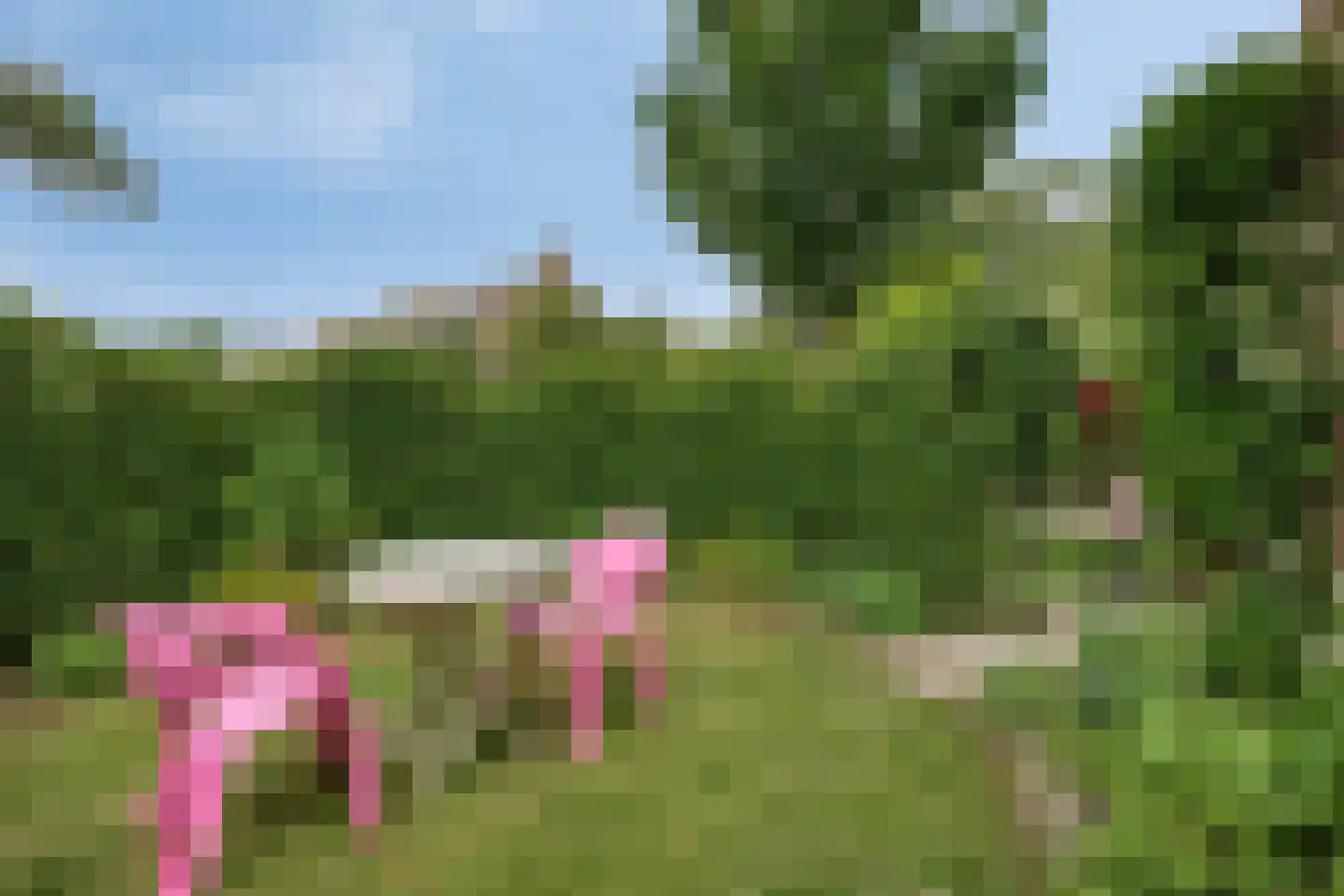 Boksdoornweg 2 Schoorl thumbnail 30