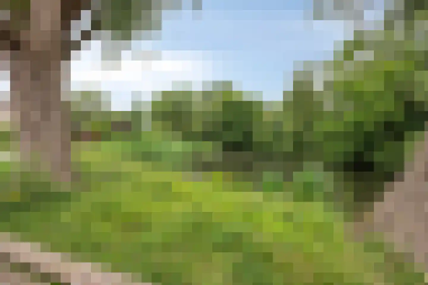 Boksdoornweg 2 Schoorl thumbnail 32