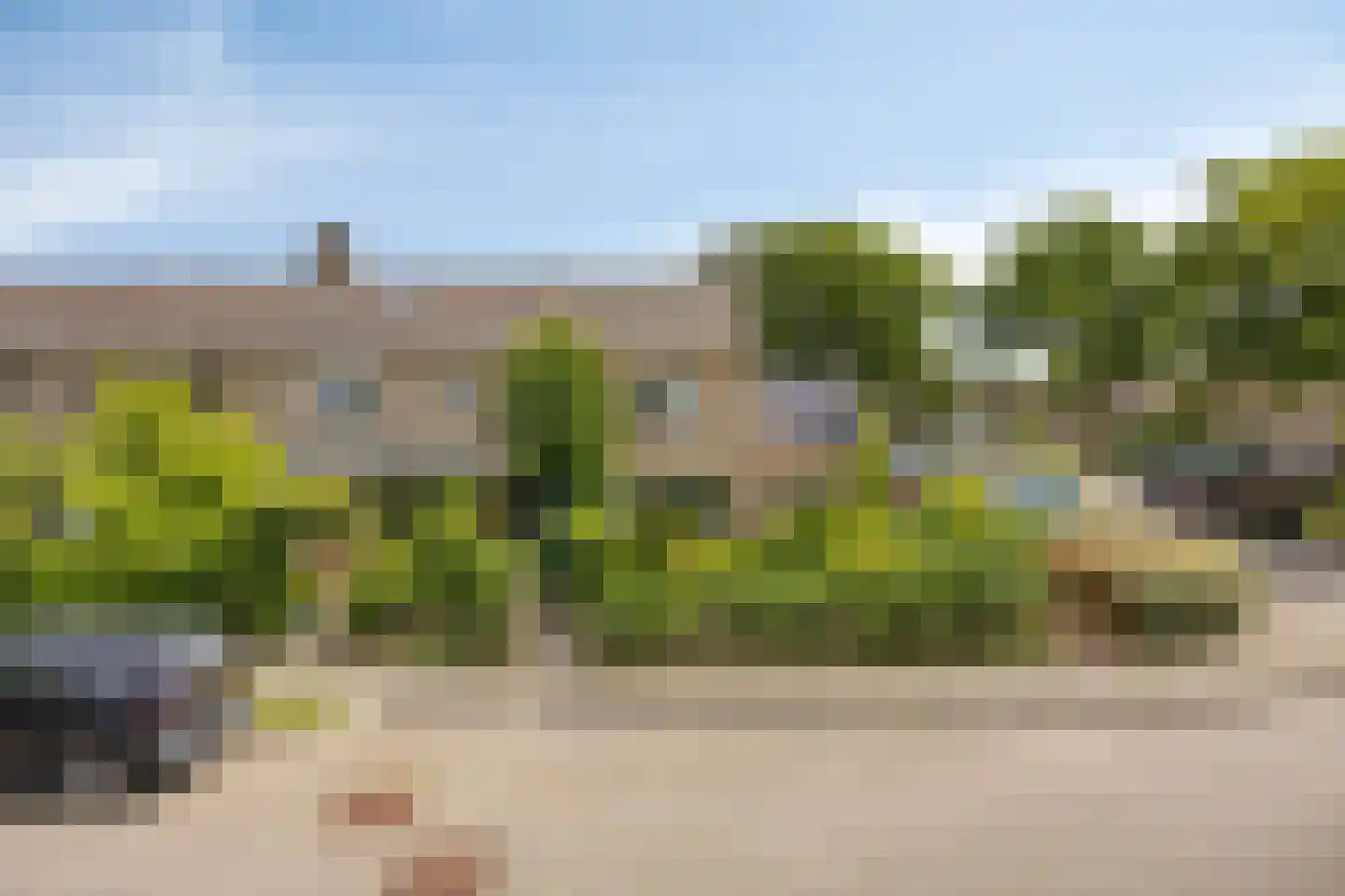 Boksdoornweg 2 Schoorl thumbnail 4