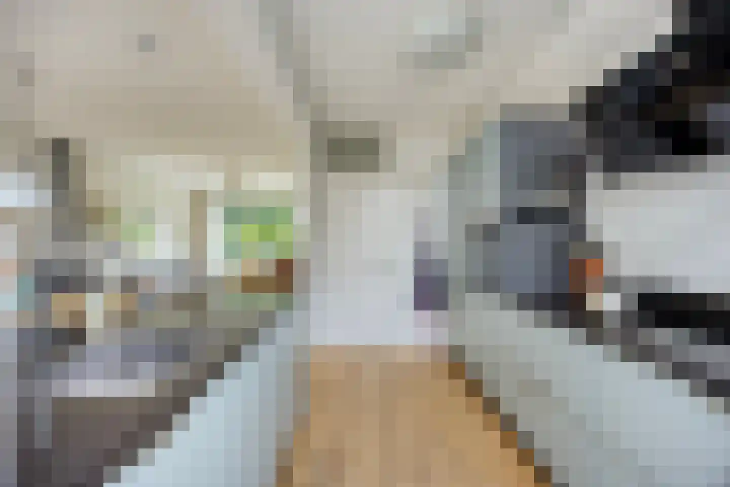 Boksdoornweg 2 Schoorl thumbnail 9