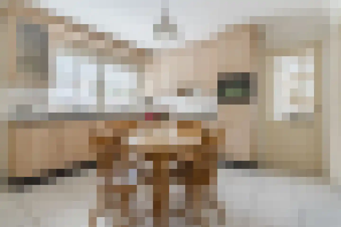 Boksheide 13 a Eersel thumbnail 21