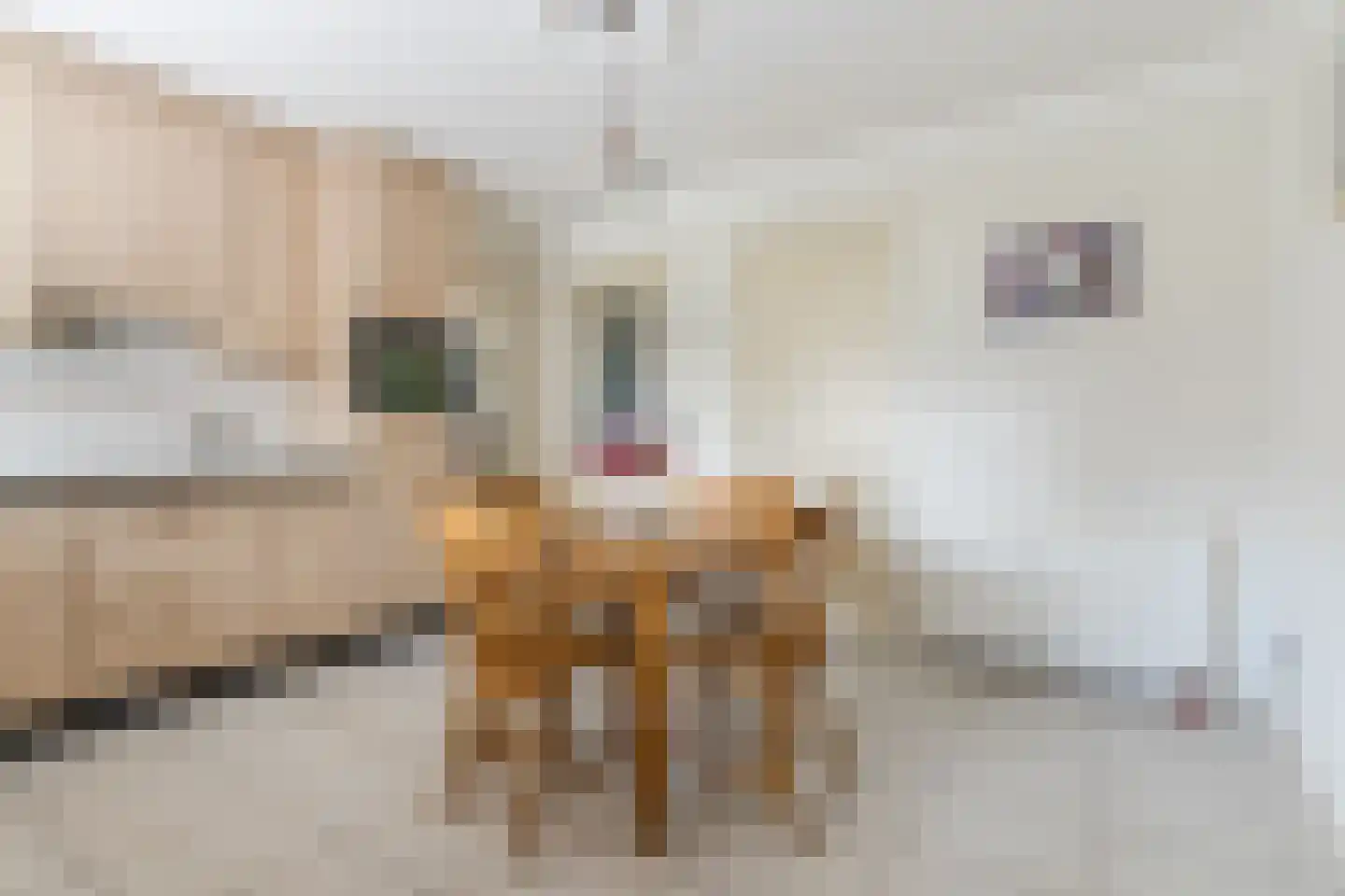 Boksheide 13 a Eersel thumbnail 23