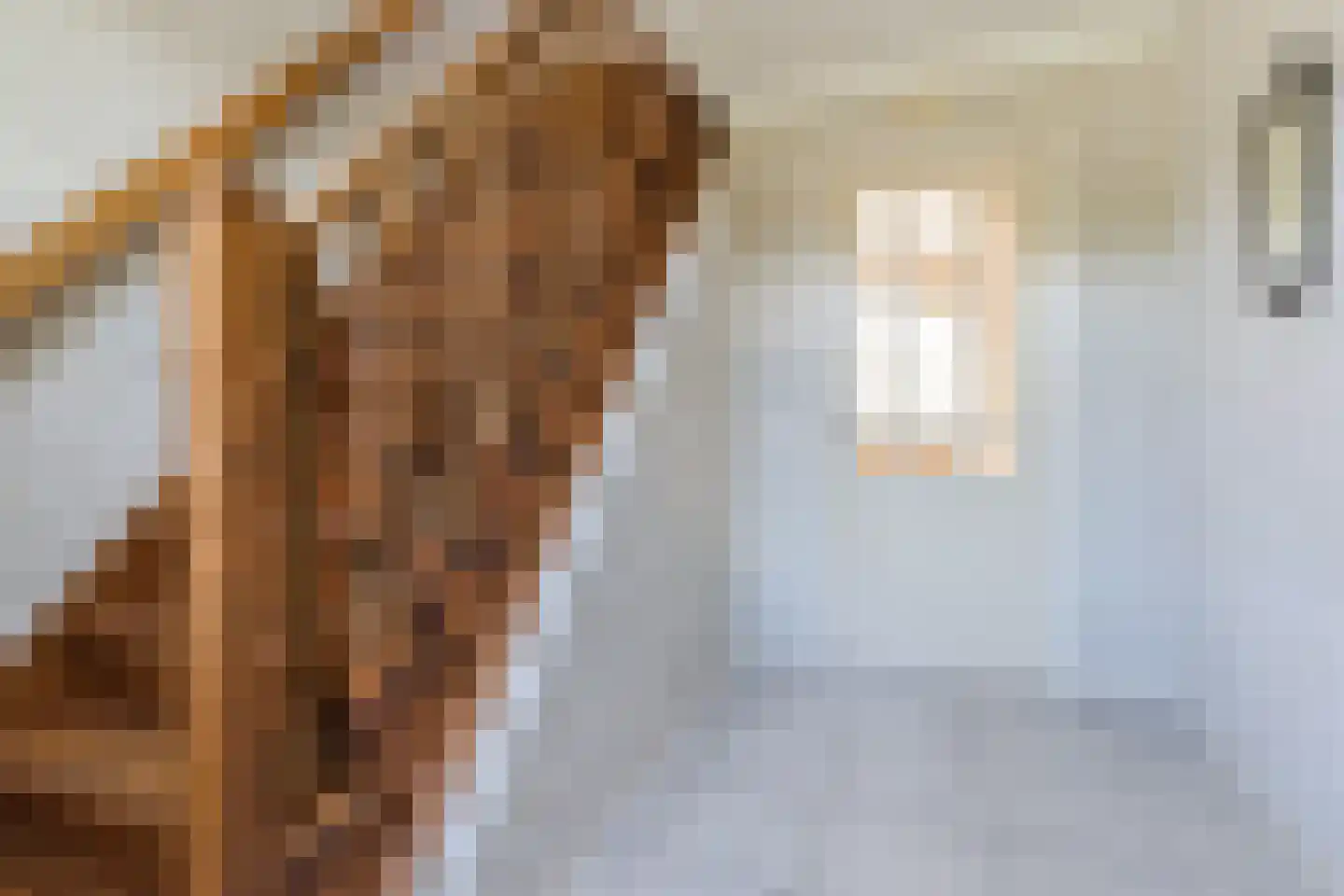 Boksheide 13 a Eersel thumbnail 4