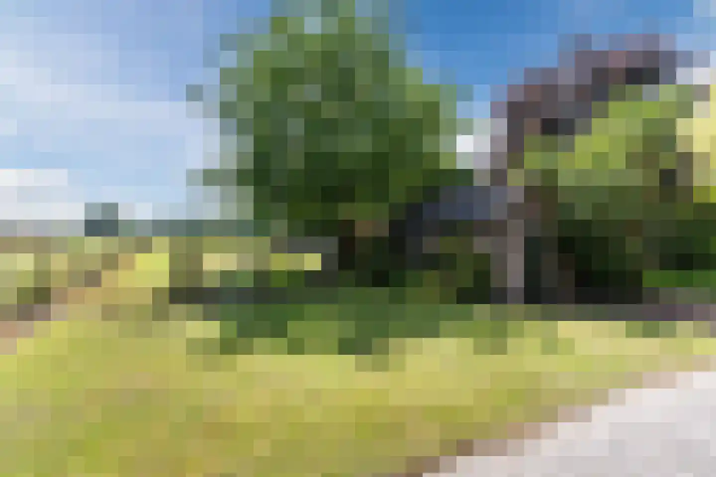 Boksheide 13 a Eersel thumbnail 45