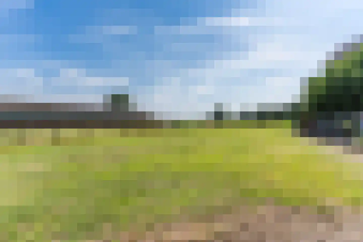 Boksheide 13 a Eersel thumbnail 46