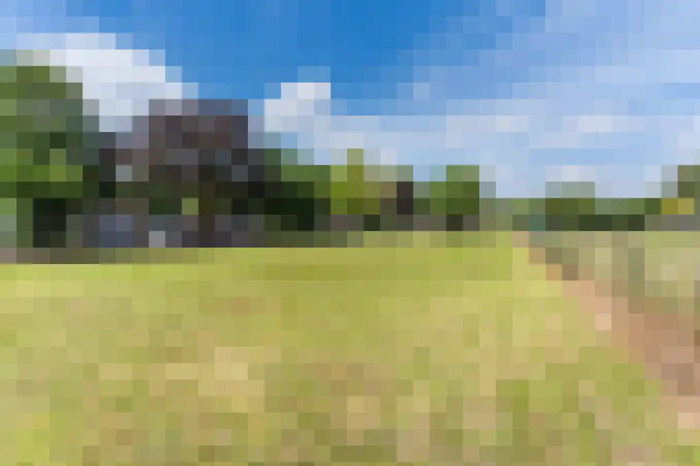 Boksheide 13 a Eersel thumbnail 48