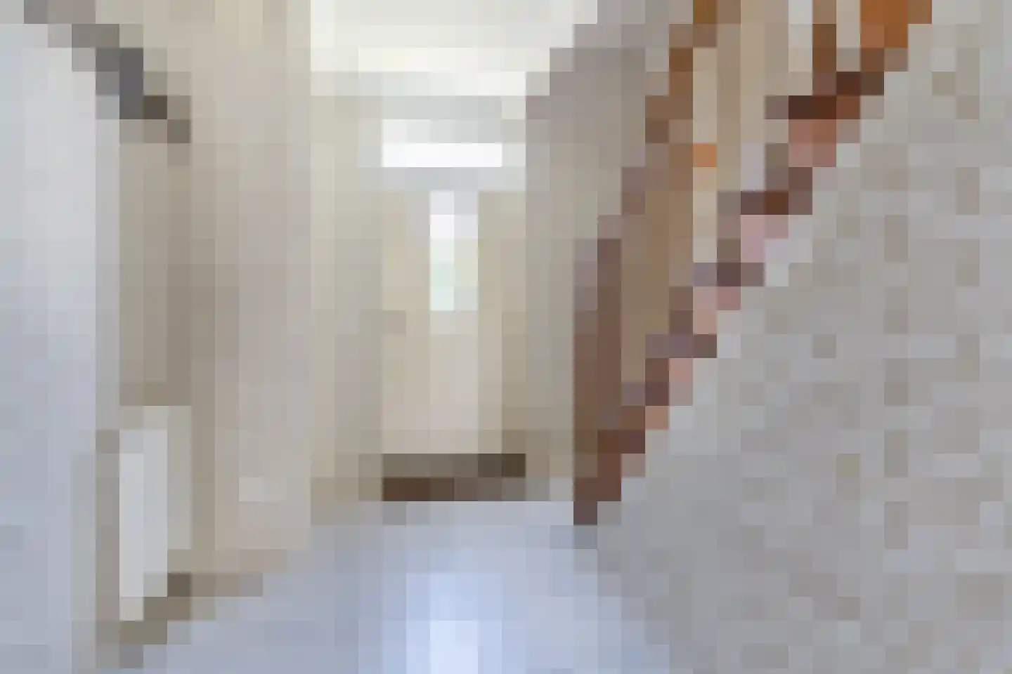 Boksheide 13 a Eersel thumbnail 5