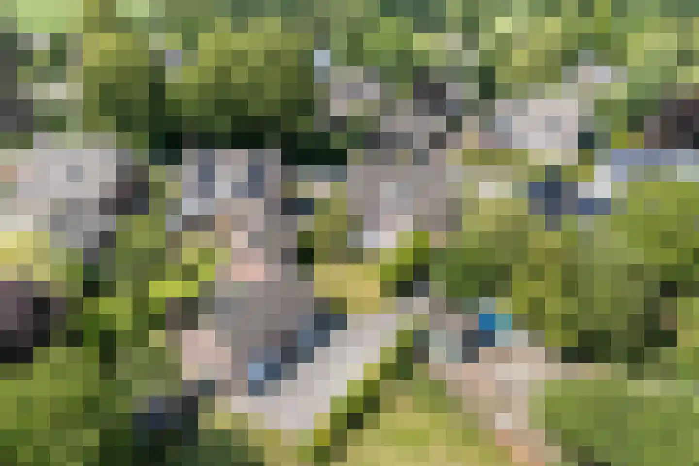 Boksheide 13 a Eersel thumbnail 58