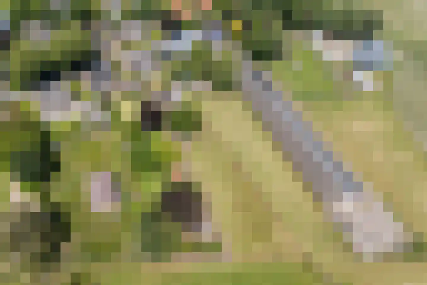 Boksheide 13 a Eersel thumbnail 59