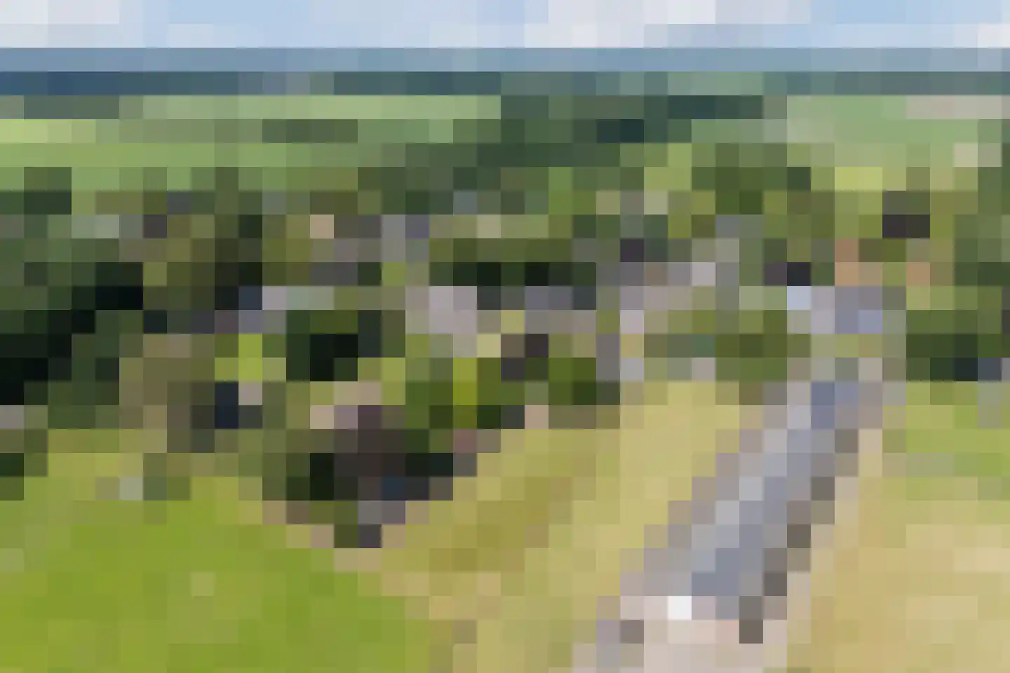 Boksheide 13 a Eersel thumbnail 60