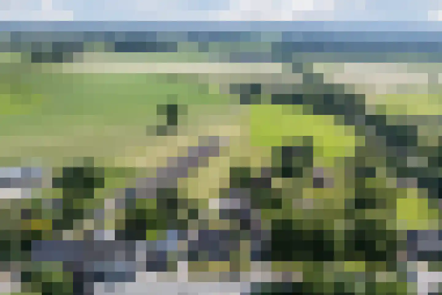 Boksheide 13 a Eersel thumbnail 68