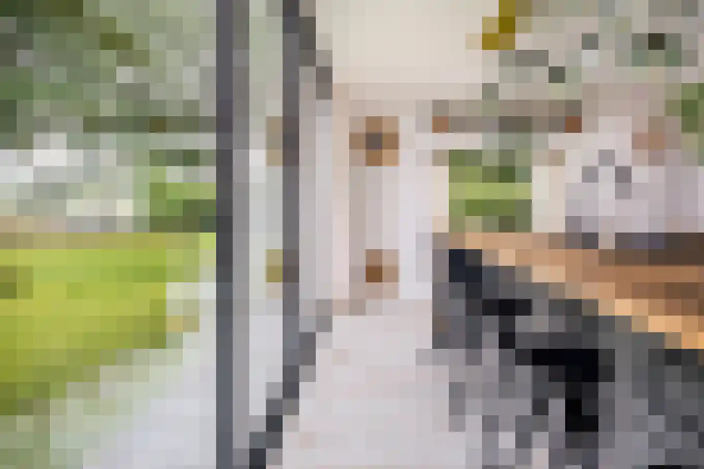 Boksheide 28 C Eersel thumbnail 11