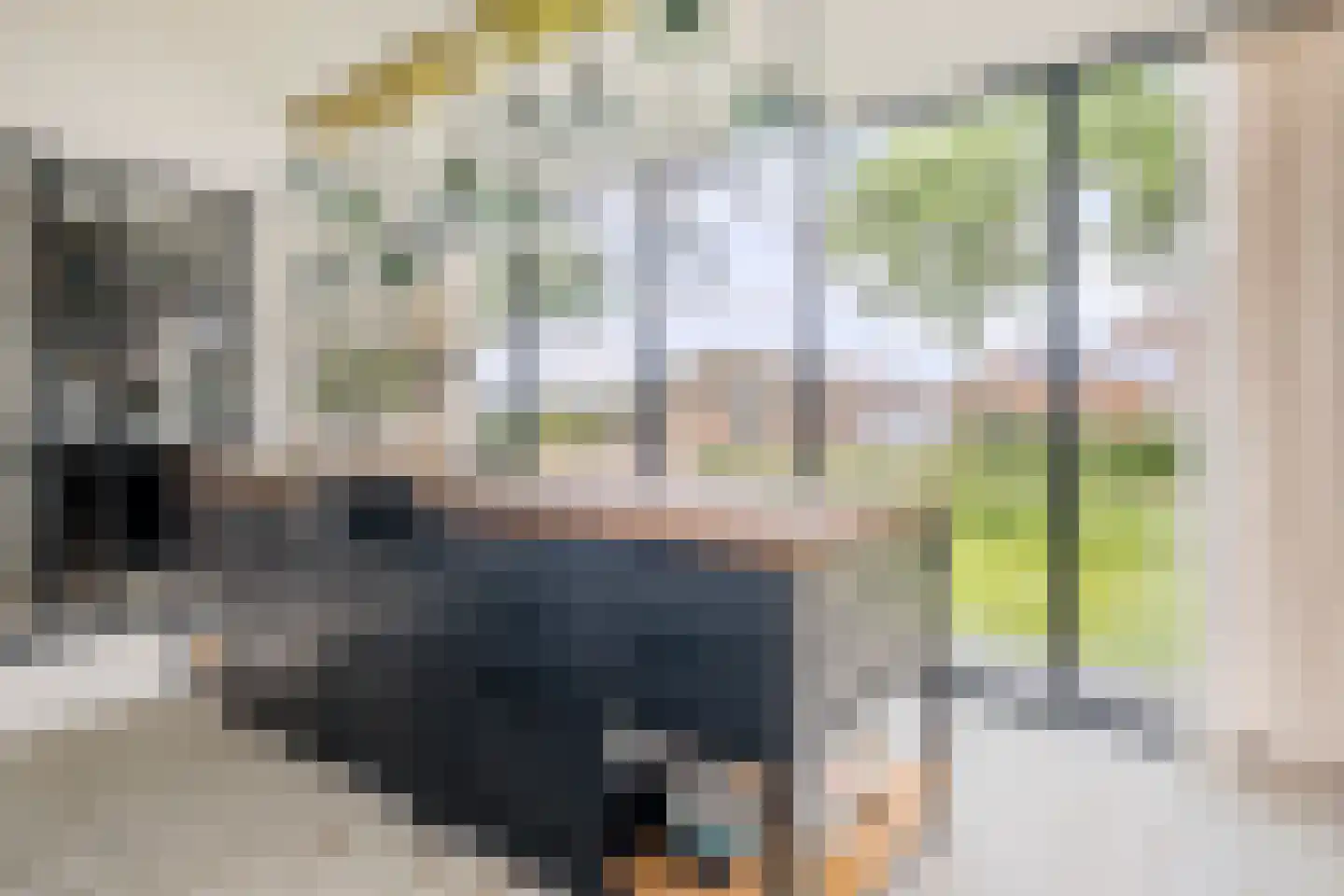 Boksheide 28 C Eersel thumbnail 13
