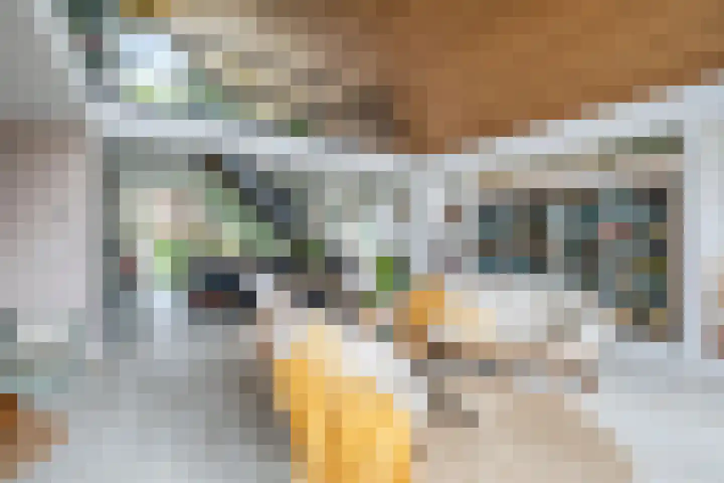Boksheide 28 C Eersel thumbnail 22