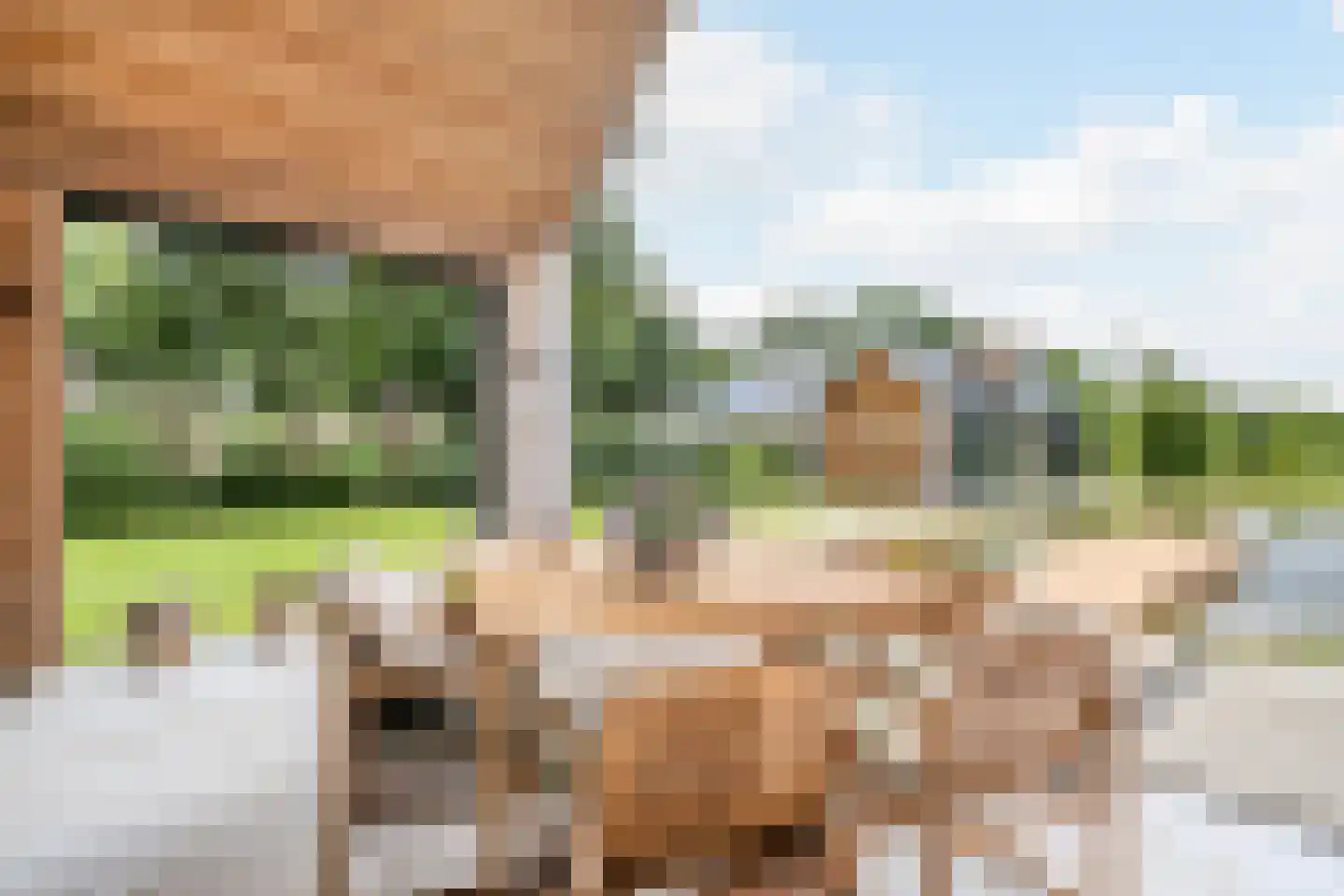 Boksheide 28 C Eersel thumbnail 43