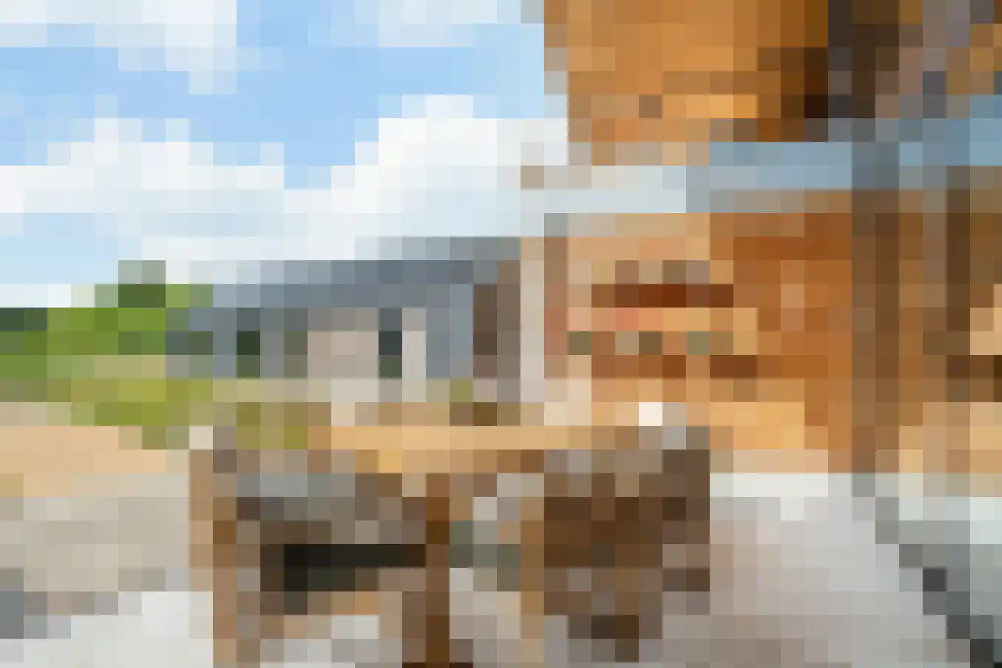 Boksheide 28 C Eersel thumbnail 44