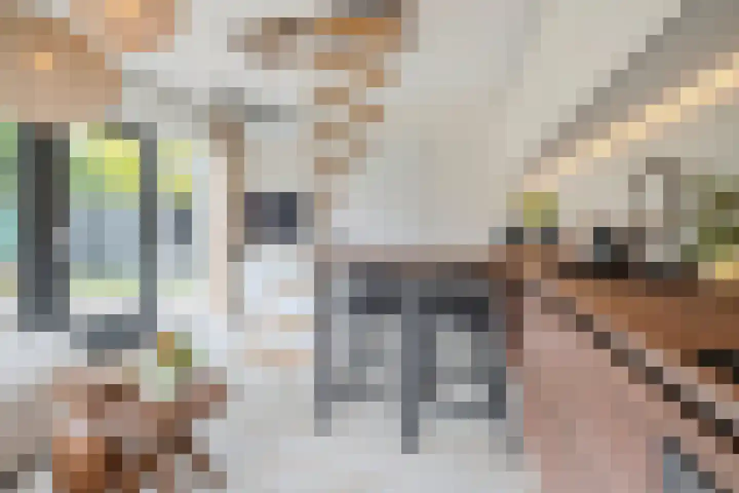 Boksheide 28 C Eersel thumbnail 48