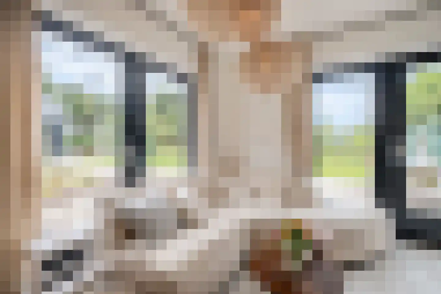 Boksheide 28 C Eersel thumbnail 49