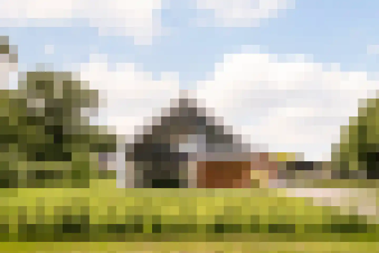 Boksheide 28 C Eersel thumbnail 5