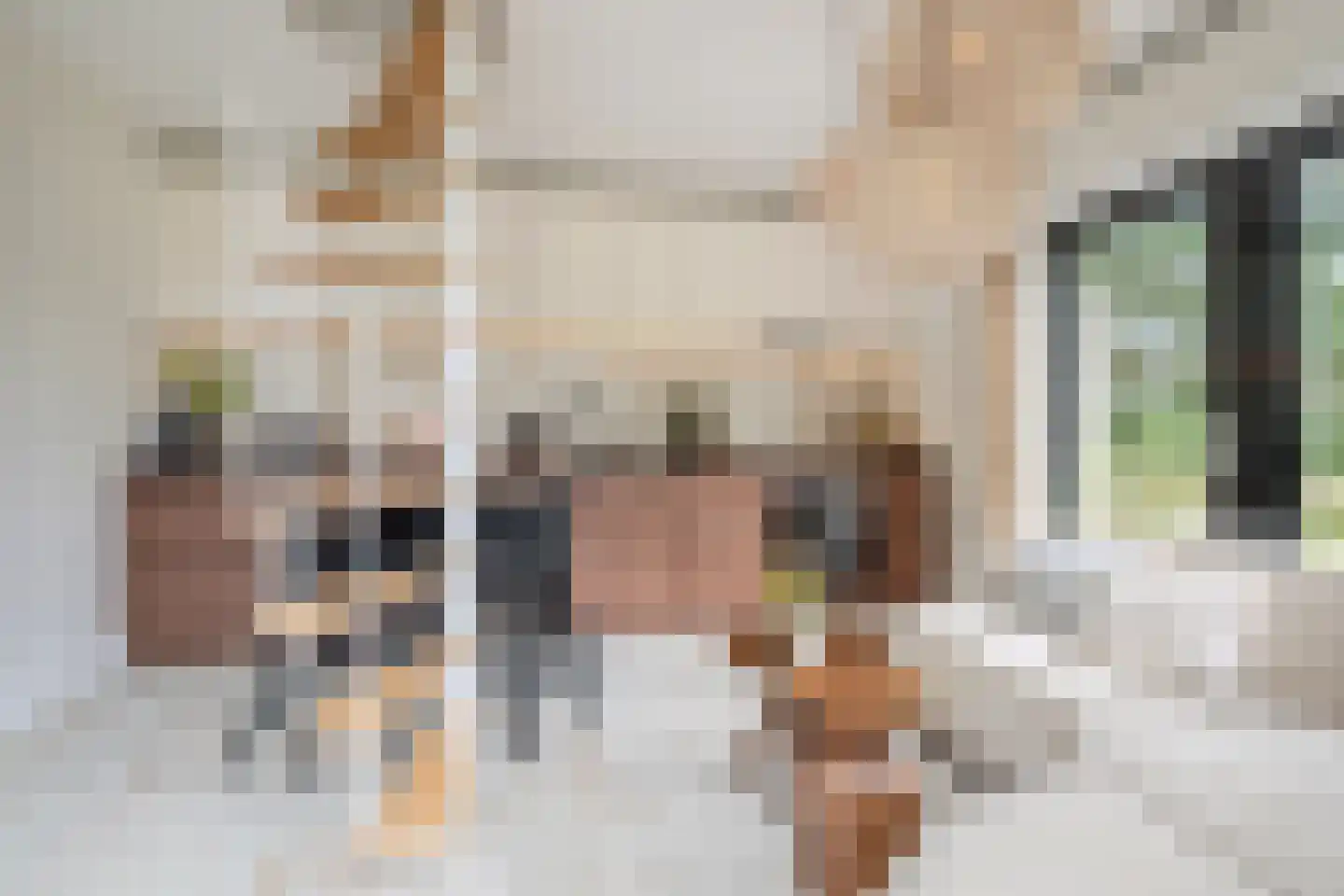 Boksheide 28 C Eersel thumbnail 50