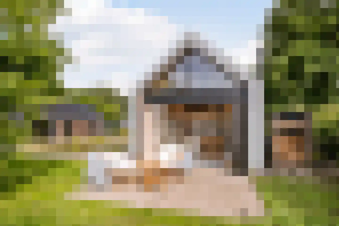 Boksheide 28 C Eersel thumbnail 60