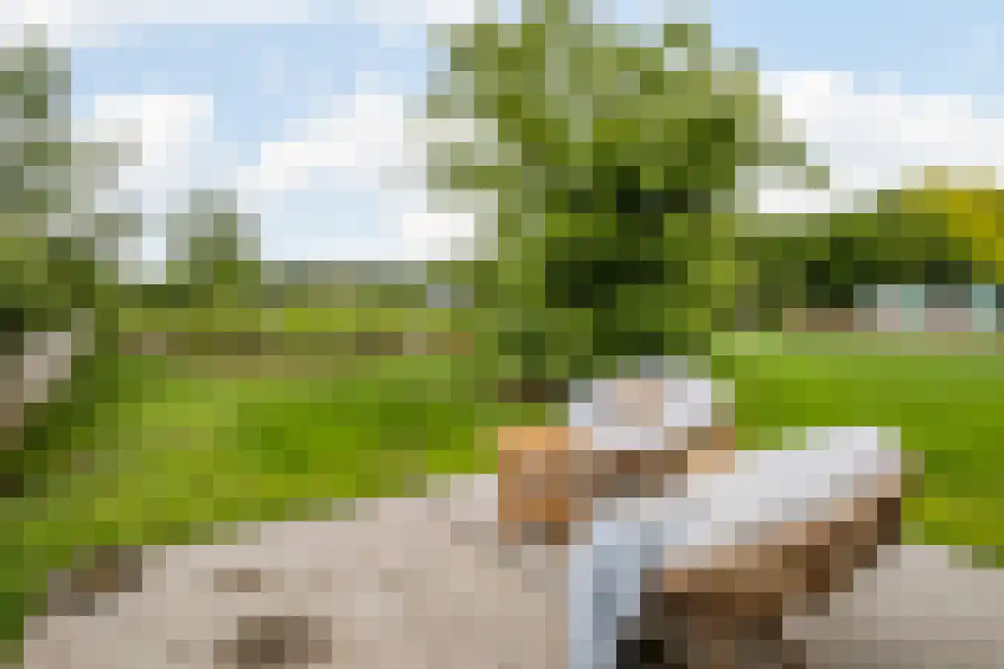 Boksheide 28 C Eersel thumbnail 63