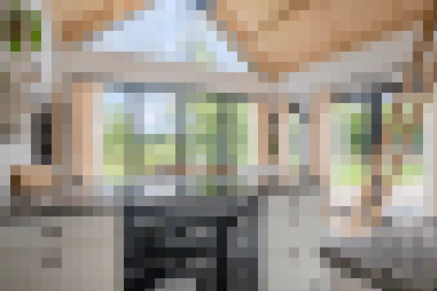 Boksheide 28 C Eersel thumbnail 64