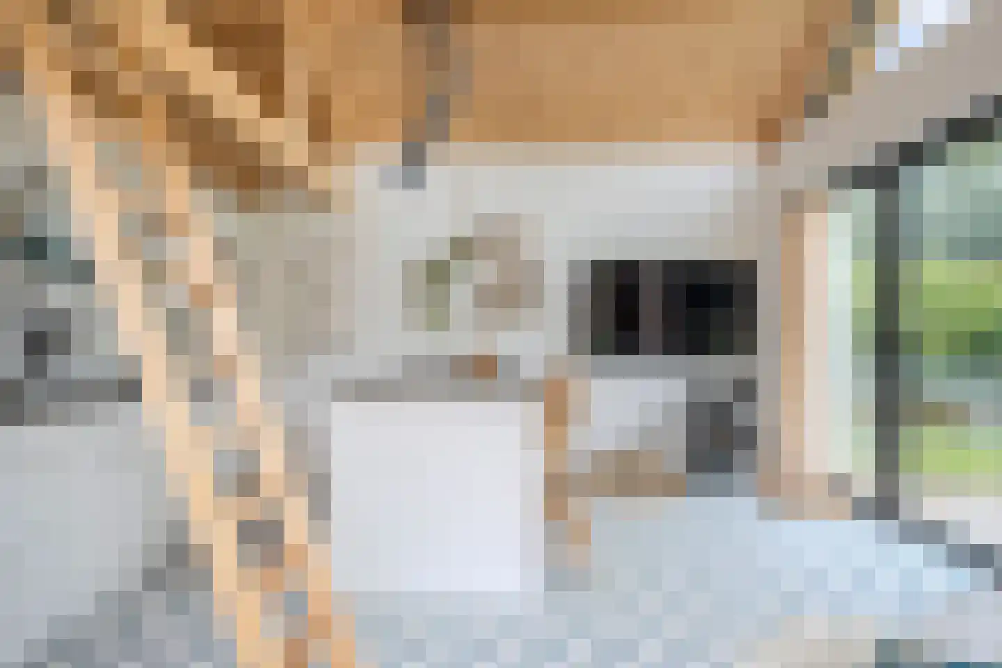 Boksheide 28 C Eersel thumbnail 65