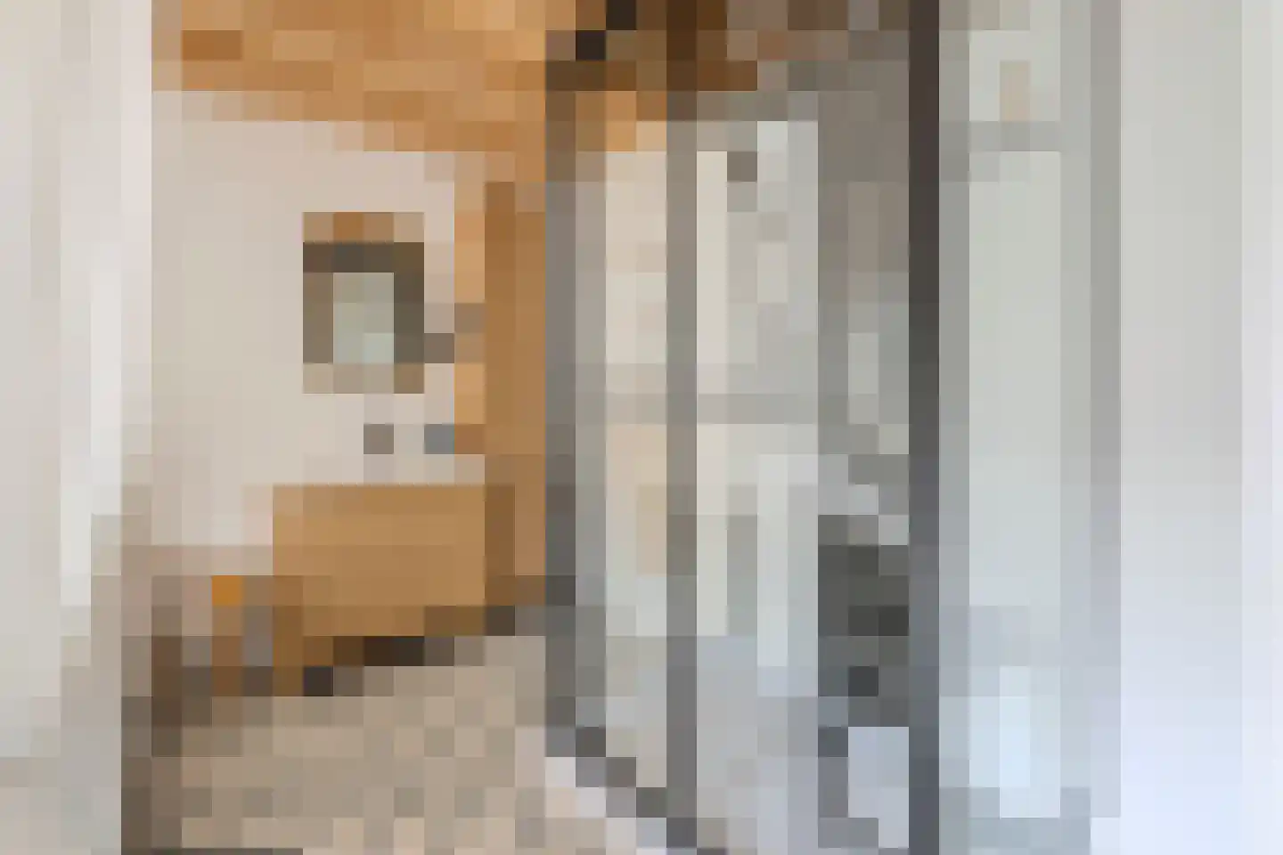 Boksheide 28 C Eersel thumbnail 70