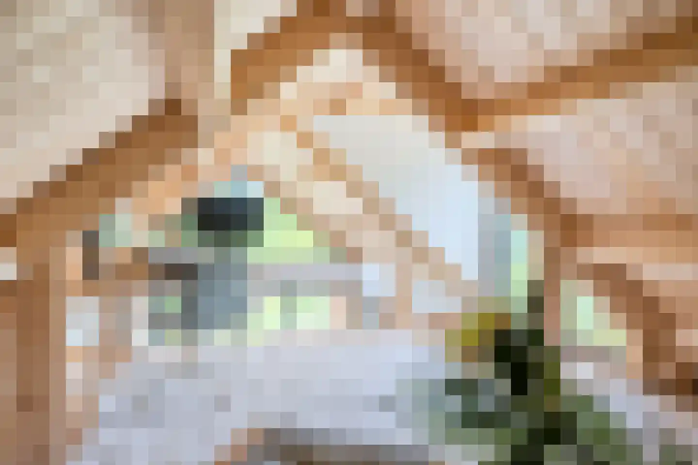 Boksheide 28 C Eersel thumbnail 75