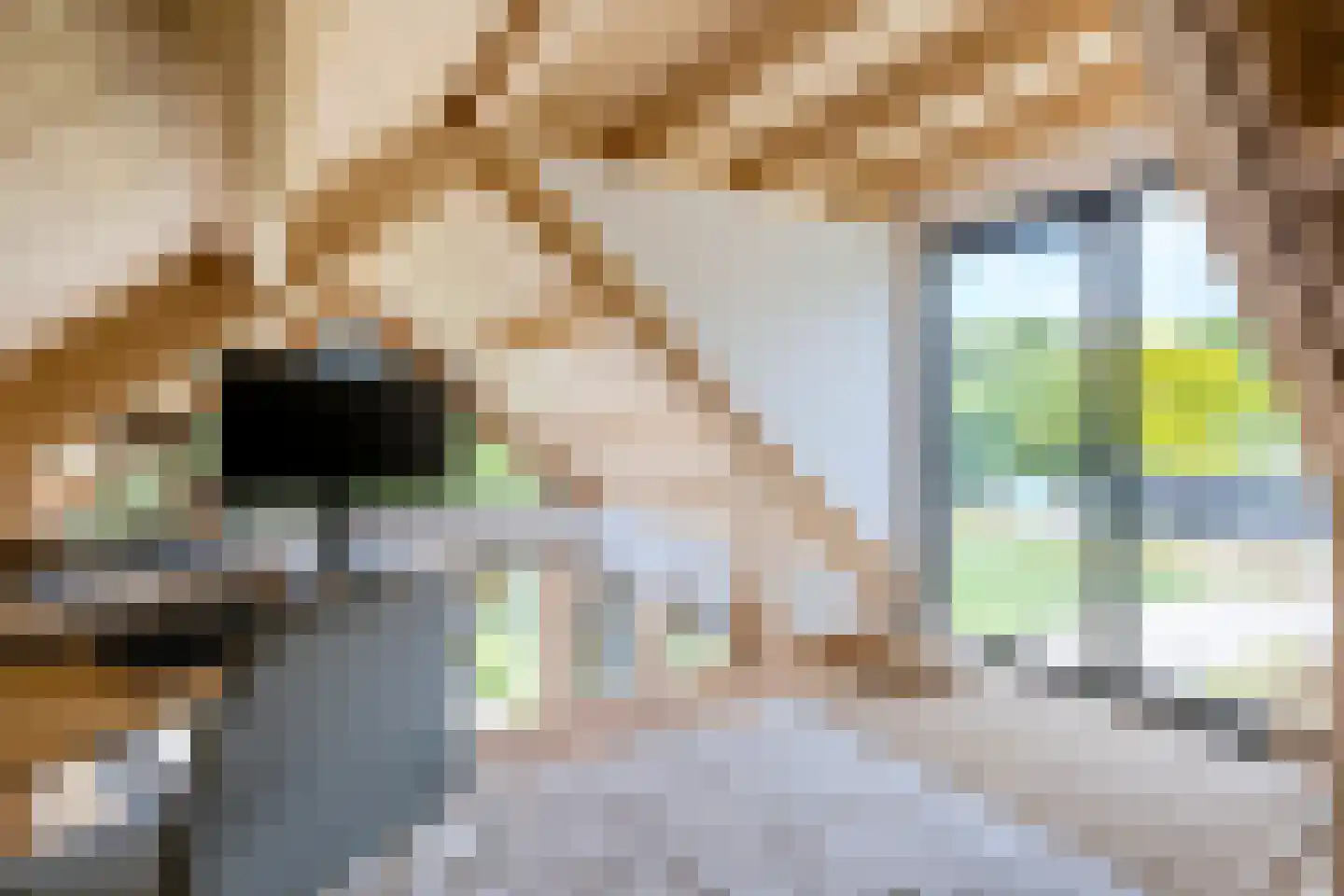 Boksheide 28 C Eersel thumbnail 76