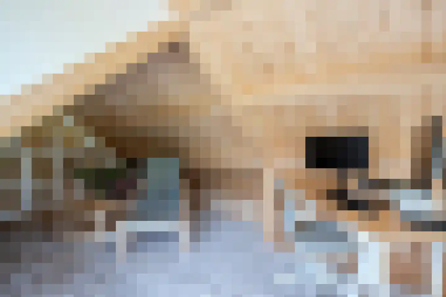 Boksheide 28 C Eersel thumbnail 77