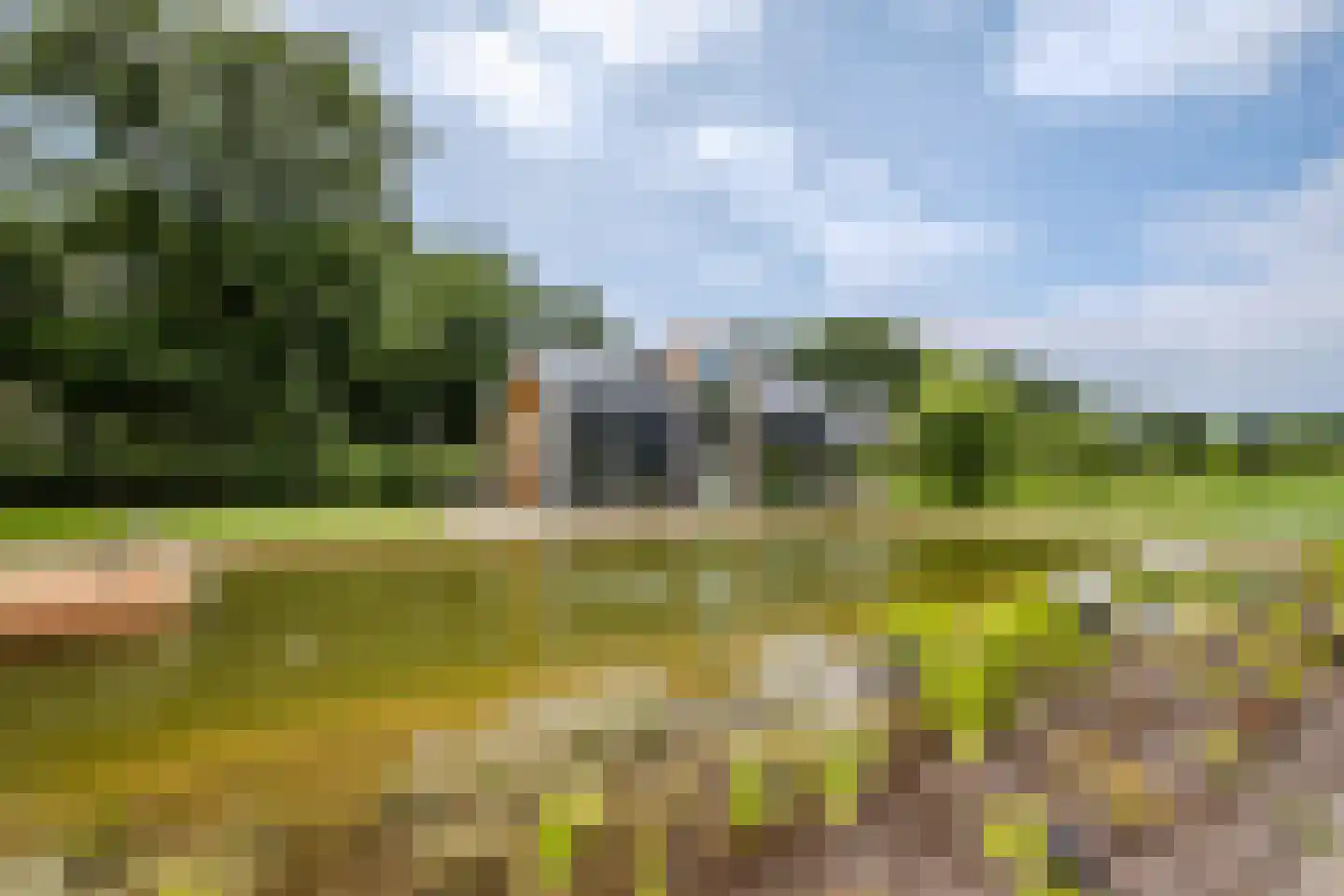 Boksheide 28 C Eersel thumbnail 79