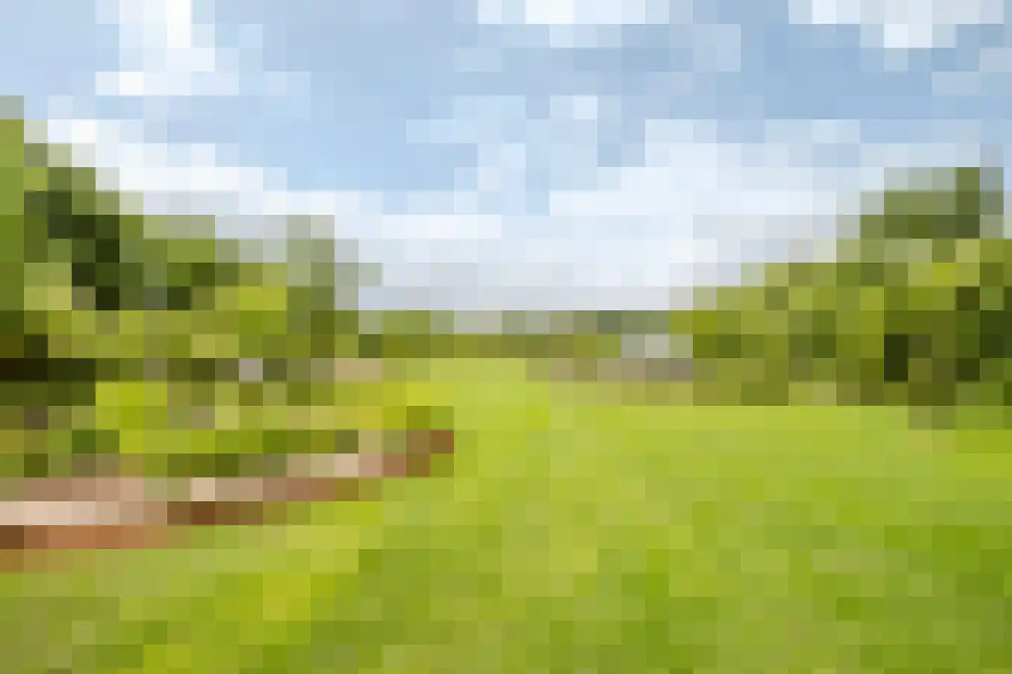 Boksheide 28 C Eersel thumbnail 81