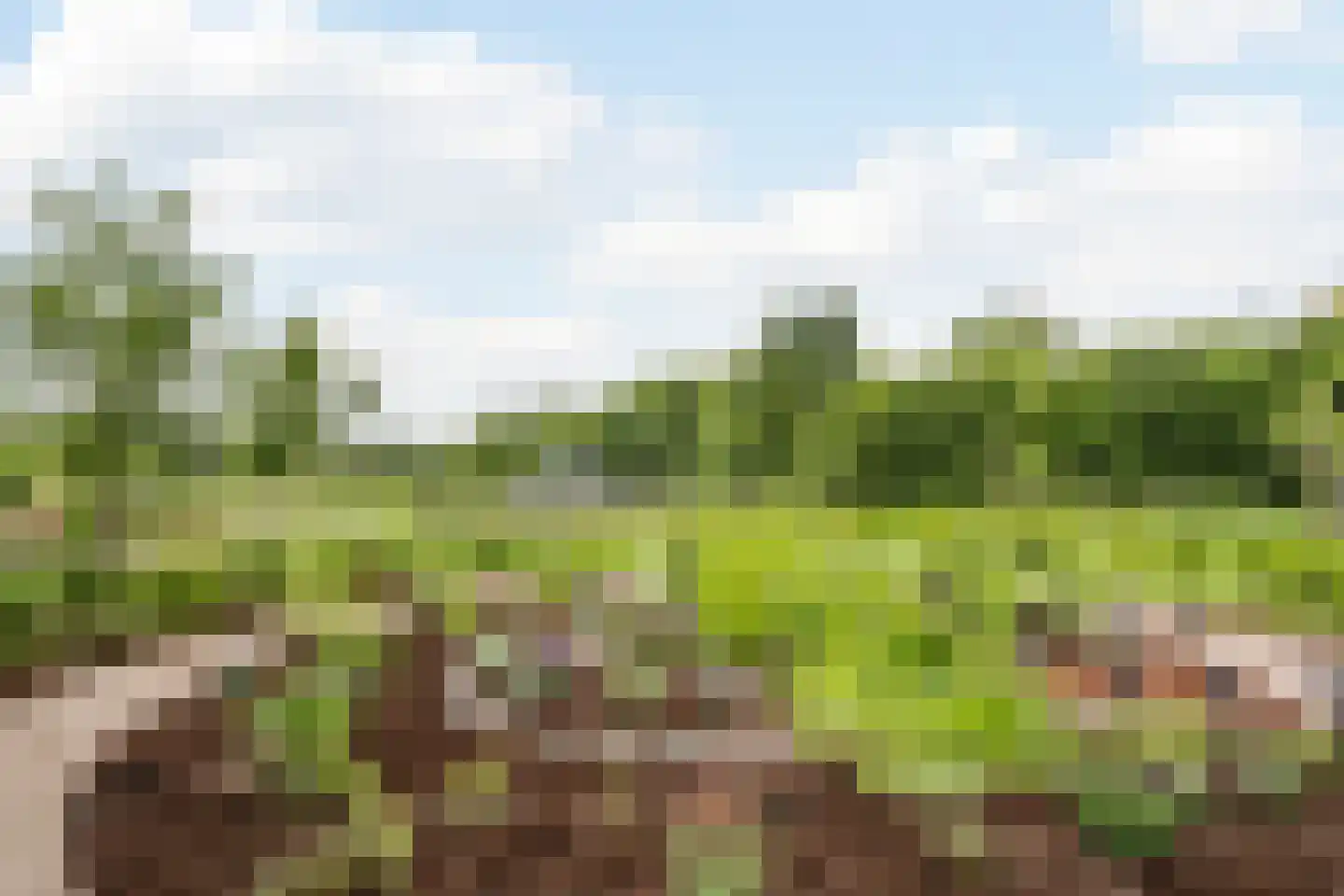 Boksheide 28 C Eersel thumbnail 82