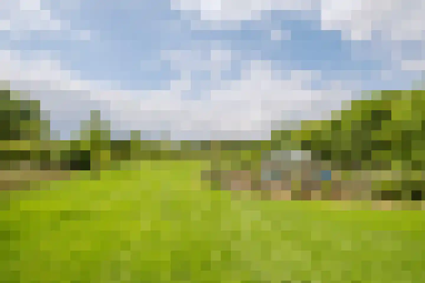 Boksheide 28 C Eersel thumbnail 83