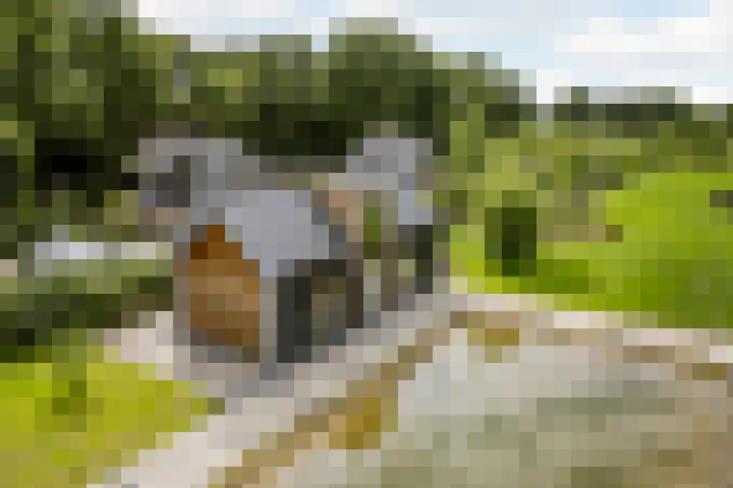 Boksheide 28 C Eersel thumbnail 91