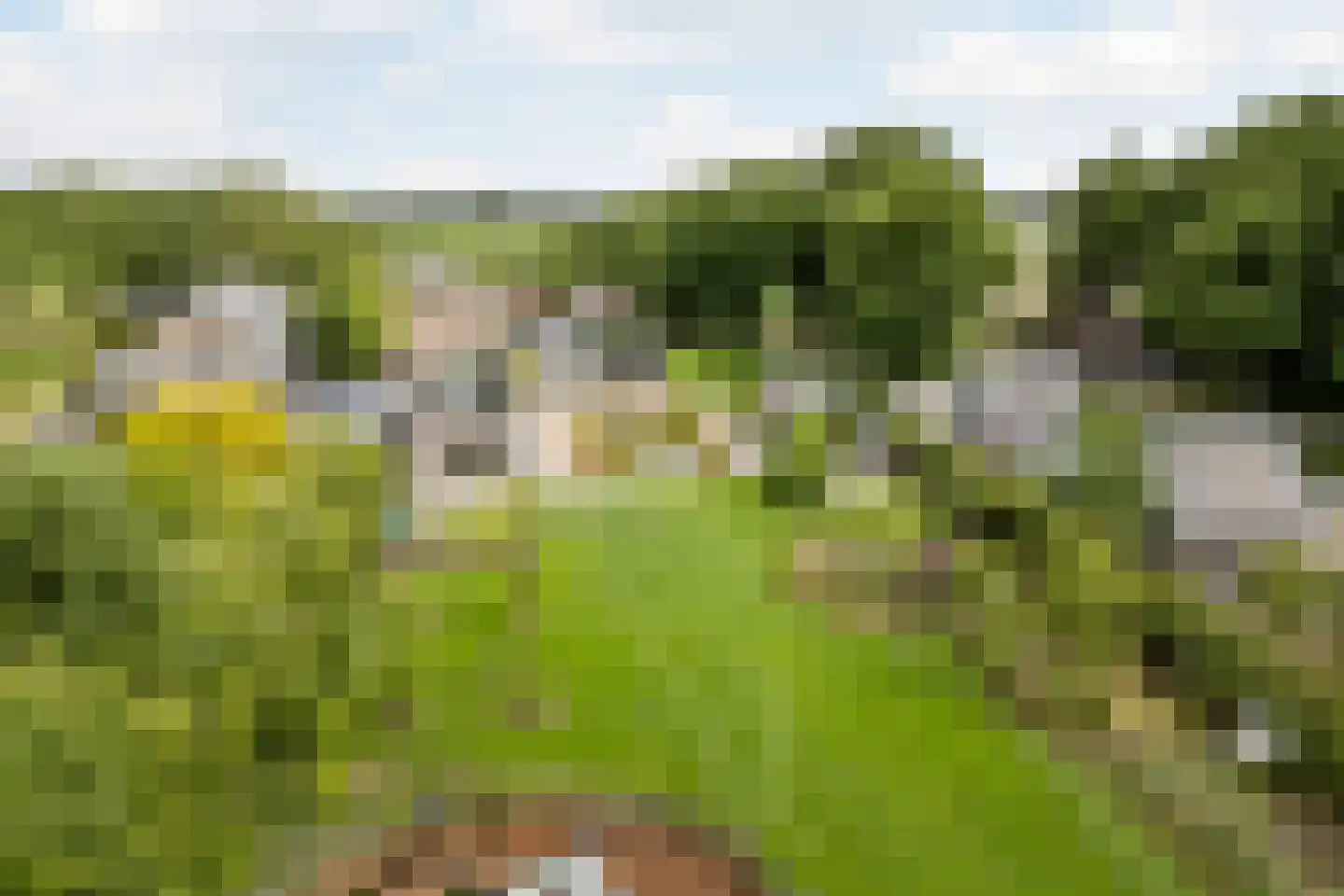 Boksheide 28 C Eersel thumbnail 92