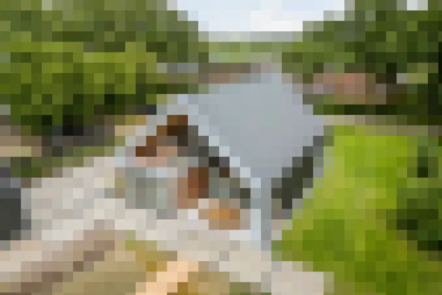 Boksheide 28 C Eersel thumbnail 94