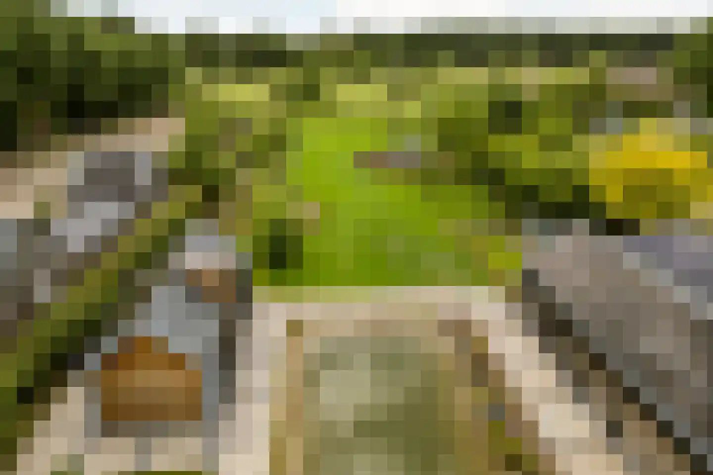 Boksheide 28 C Eersel thumbnail 96