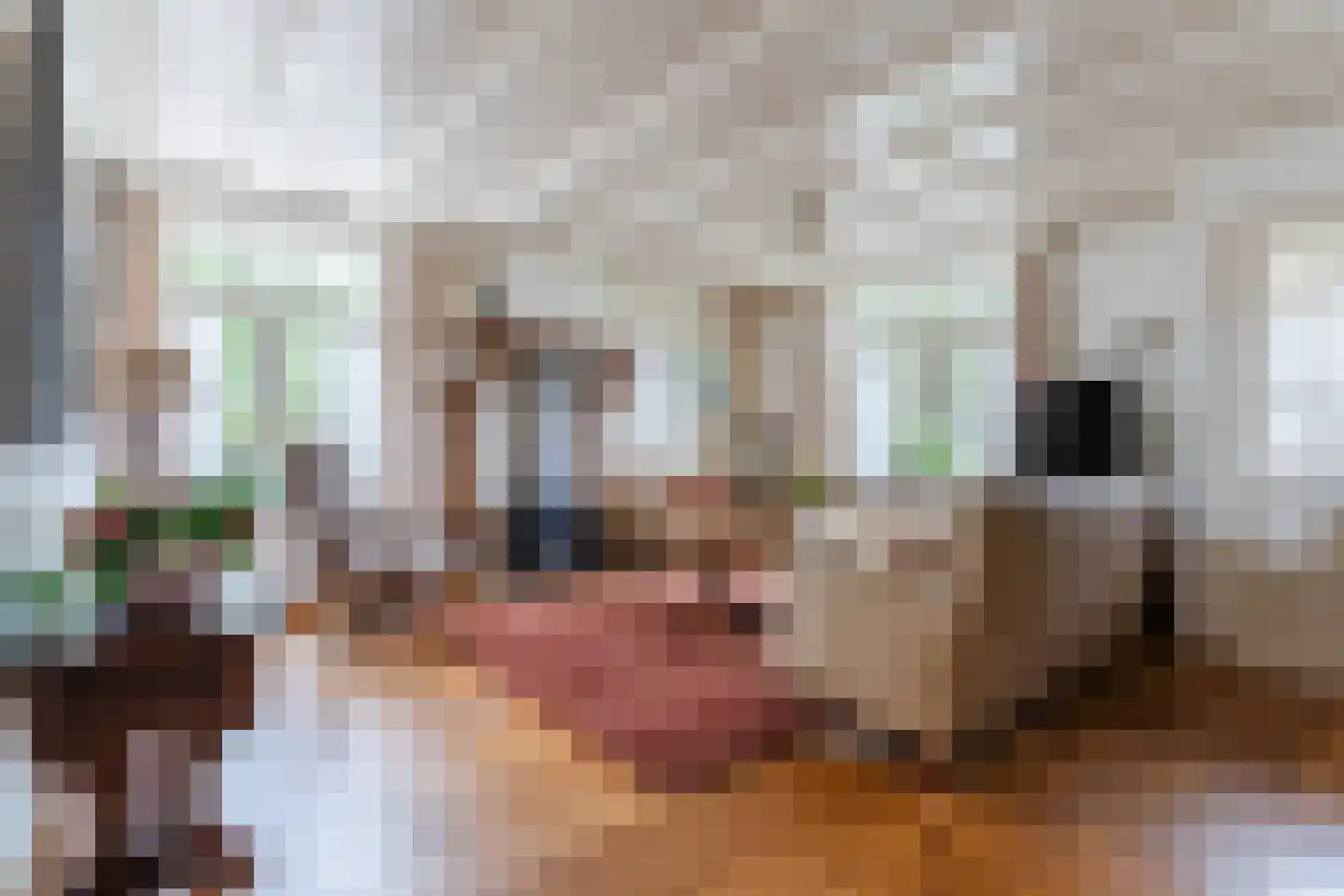 Boksheide 4 Eersel thumbnail 10