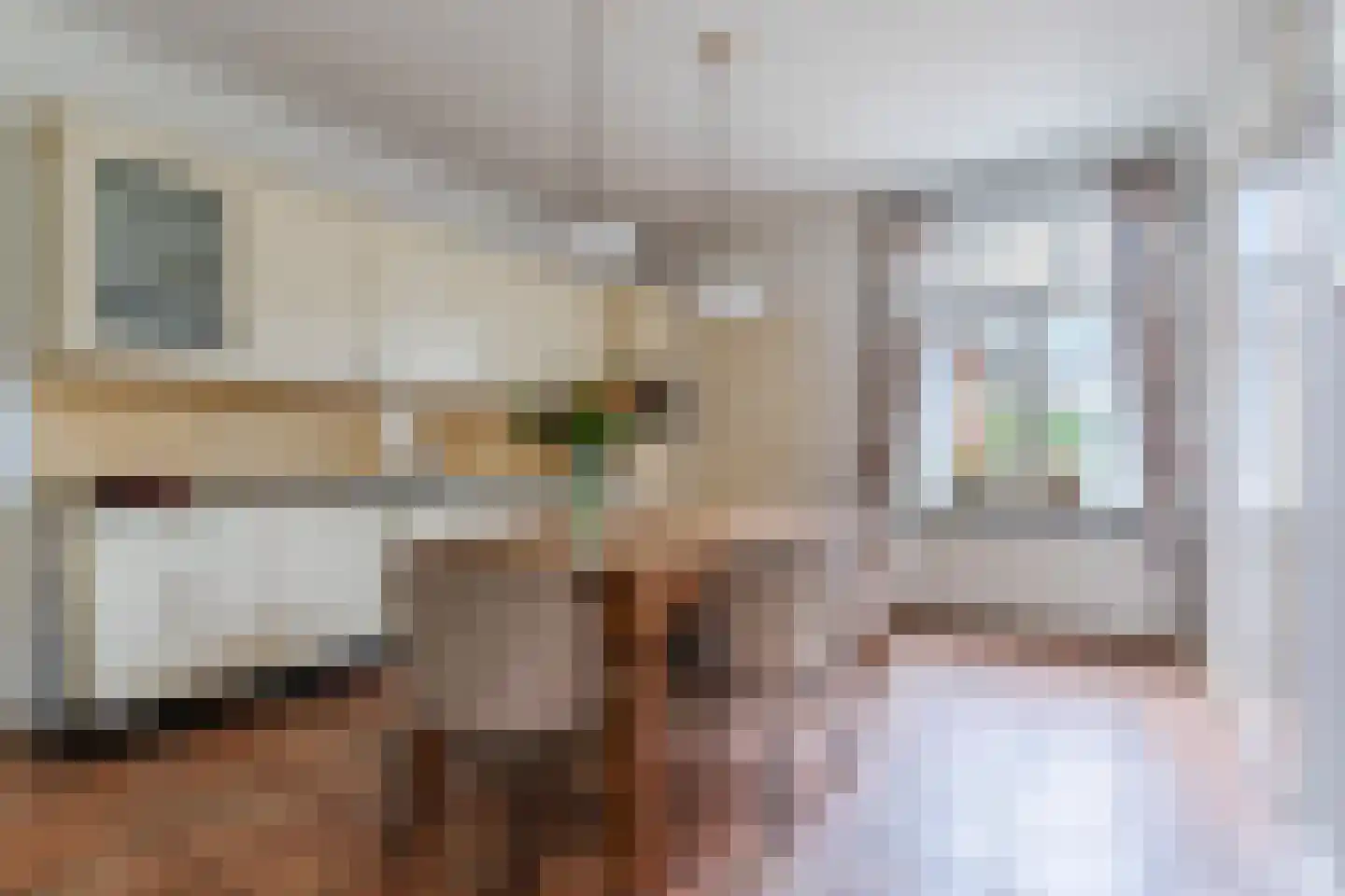Boksheide 4 Eersel thumbnail 14