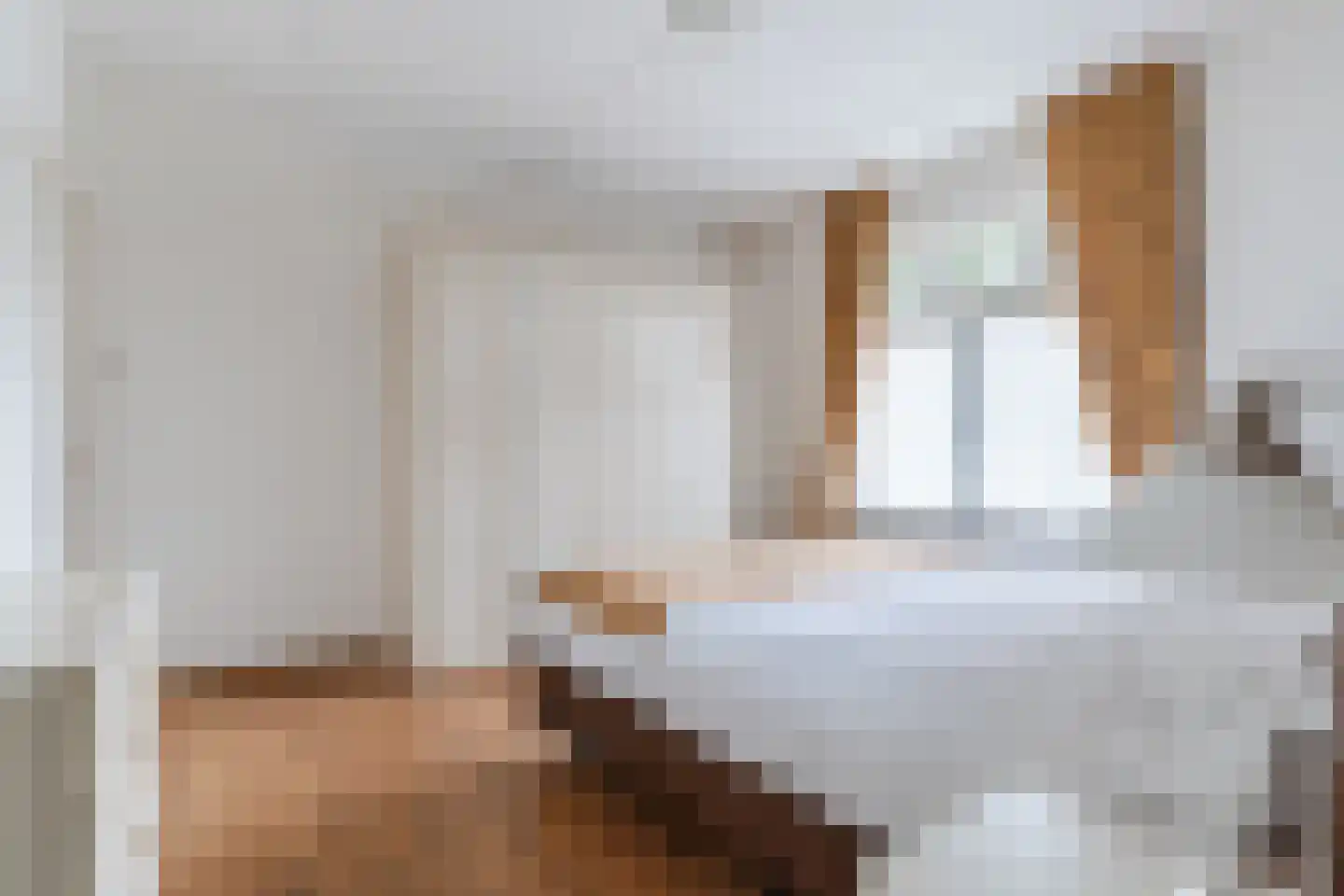 Boksheide 4 Eersel thumbnail 20